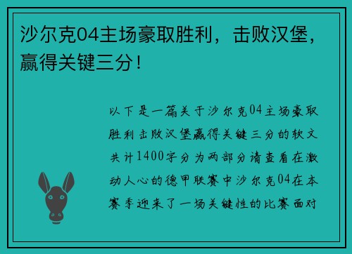 沙尔克04主场豪取胜利，击败汉堡，赢得关键三分！