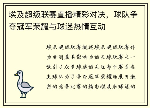 埃及超级联赛直播精彩对决，球队争夺冠军荣耀与球迷热情互动