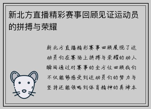 新北方直播精彩赛事回顾见证运动员的拼搏与荣耀