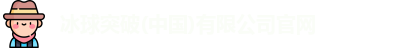 冰球突破